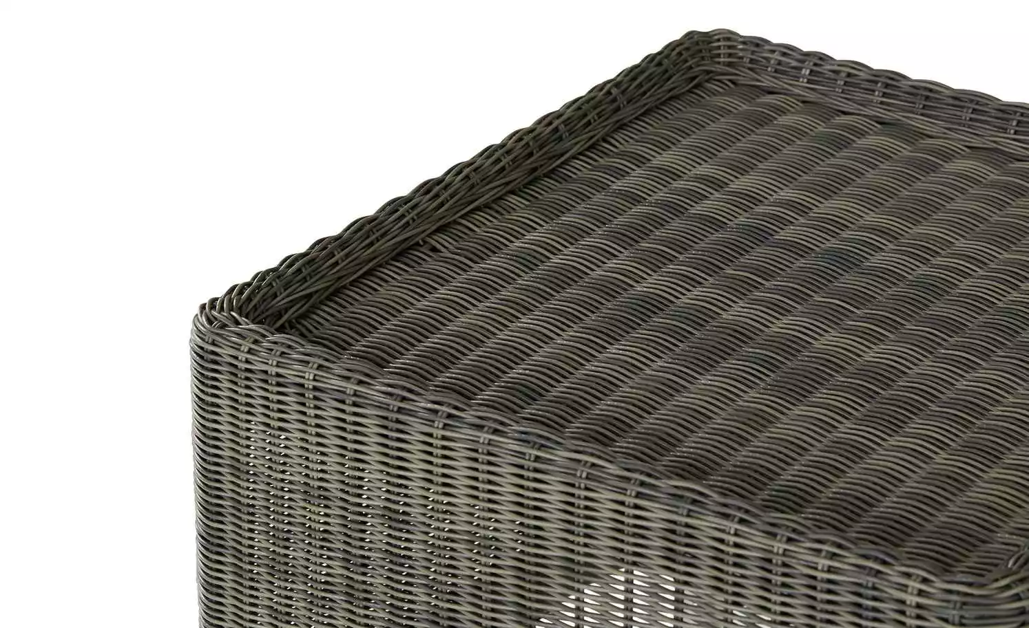 Zebra Hocker Status 4 Zebra Hocker Status – Bild 2