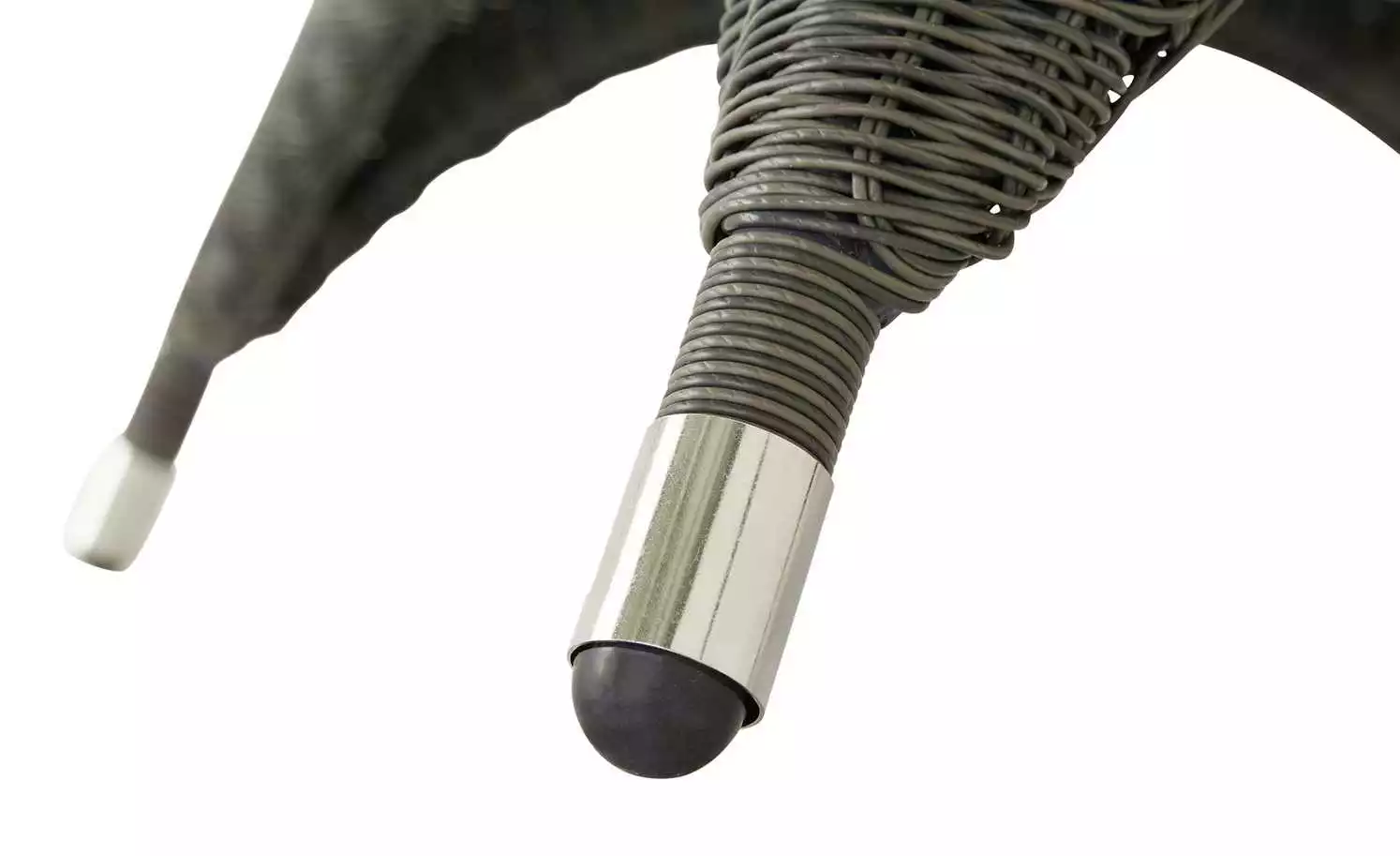 Zebra Hocker Status 7 Zebra Hocker Status – Bild 5