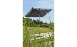 Schneider Schirme Anthrazit