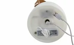 Trio Tragbar Farbwechsler, 26 Trio Tragbar Farbwechsler, -Garten Verkäufe 11680696 11 201905142034