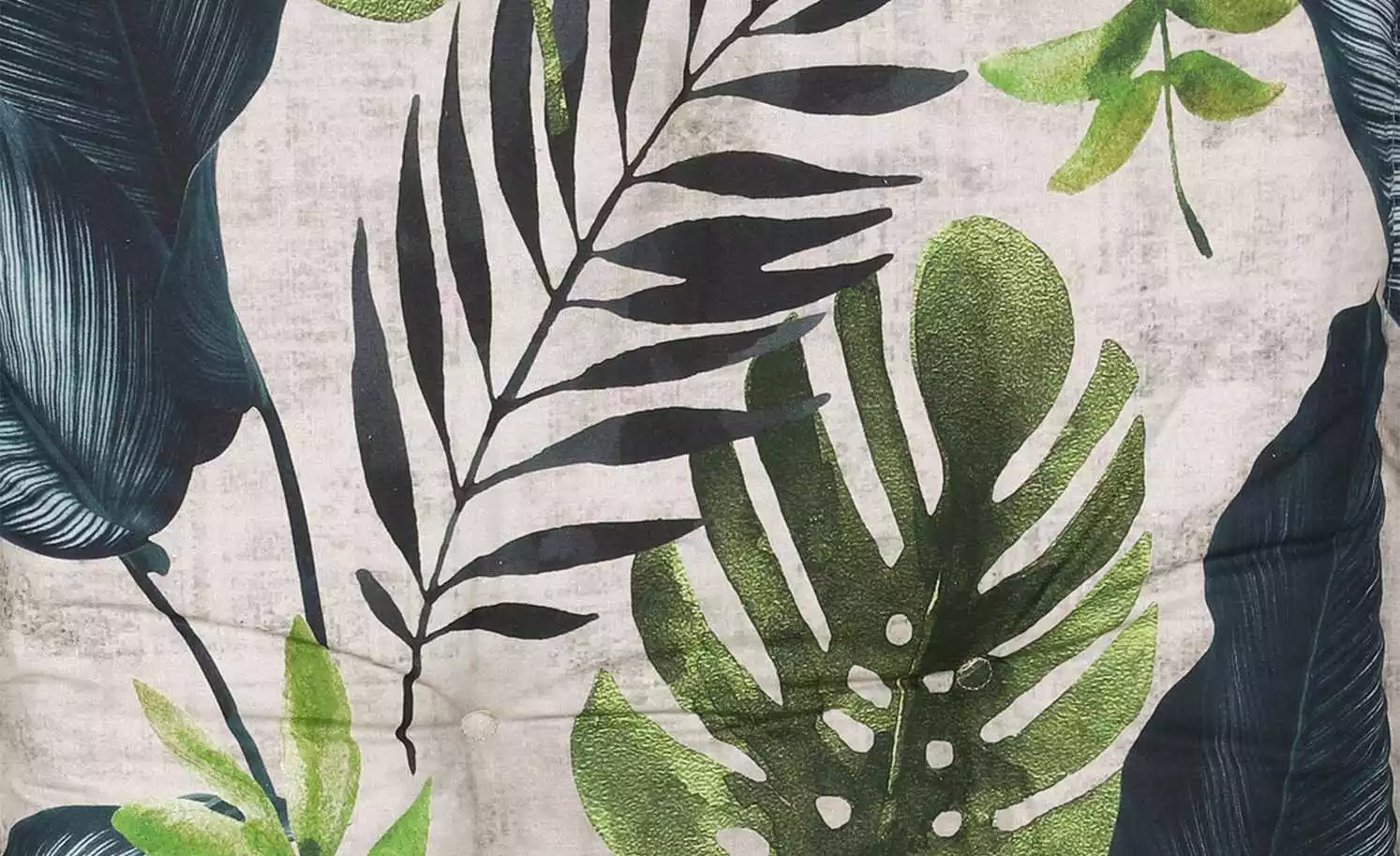 Monstera Go-De 4 Monstera Go-De – Bild 2