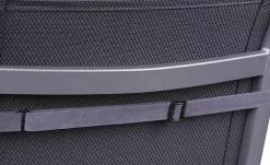 Monstera Go-De 7 Monstera Go-De -Garten Verkäufe 11981382 3 201912172238