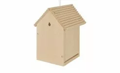 Outdoor -Garten Verkäufe 13576048 1 202202160007