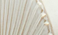 Braun Creme 9 Braun Creme -Garten Verkäufe 13586869 3 202202011247