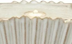 Braun Creme 10 Braun Creme -Garten Verkäufe 13586869 4 202202011247